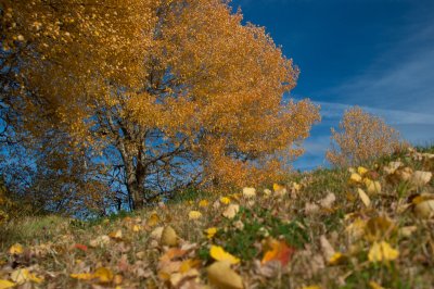 herbstfarben01.jpg